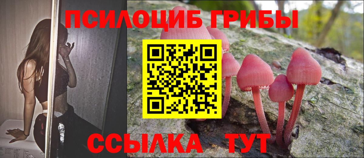 Галлюциногенные грибы прущие грибы Рузаевка