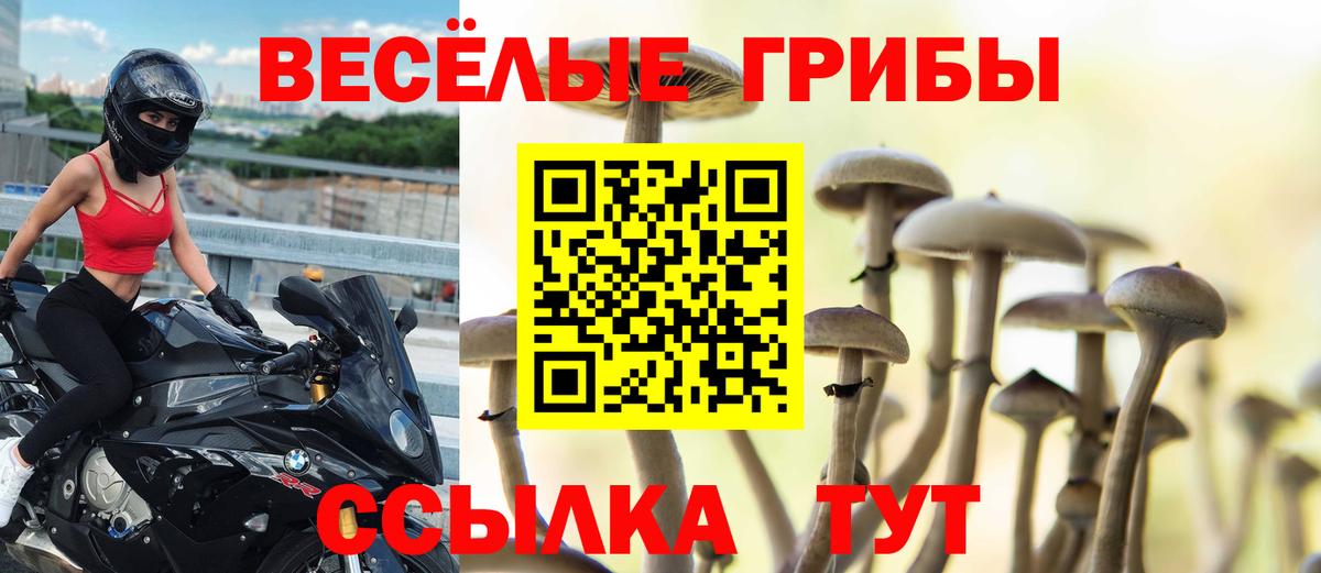 Рузаевка  где можно купить наркотик  Вход с VPN  Псилоцибиновые грибы мицелий 